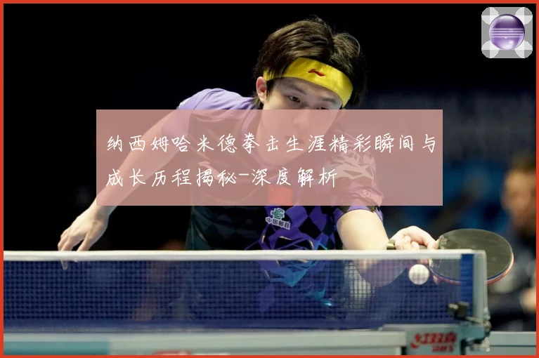 纳西姆哈米德拳击生涯精彩瞬间与成长历程揭秘-深度解析